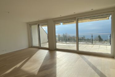 Splendide attique avec vue lac et Alpes à Lutry