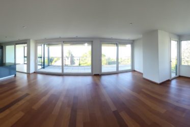 ATTIQUE VUE LAC DE STANDING A LUTRY