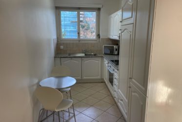 BEL APPARTEMENT MEUBLE 4.5 PIECES CHAMPEL AU CALME