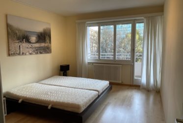 BEL APPARTEMENT MEUBLE 4.5 PIECES CHAMPEL AU CALME