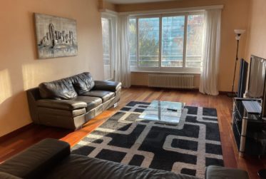 BEL APPARTEMENT MEUBLE 4.5 PIECES CHAMPEL AU CALME