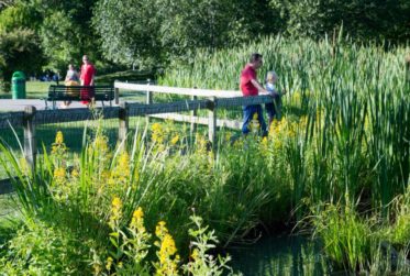 GRAND 4.5 PIECES AU CALME A FLORISSANT