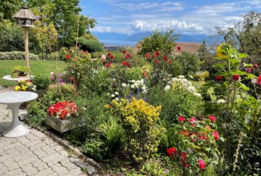 Magnifique villa individuelle meublée avec splendide vue sur le lac à Féchy