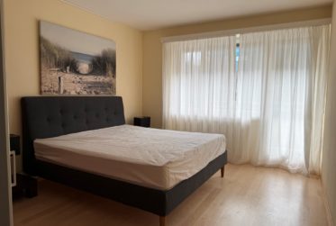 BEL APPARTEMENT MEUBLE 4.5 PIECES CHAMPEL AU CALME