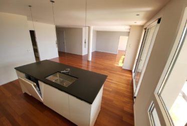 SPLENDIDE APPARTEMENT EN REZ DE JARDIN AVEC VUE LAC ET MONTAGNES A LUTRY