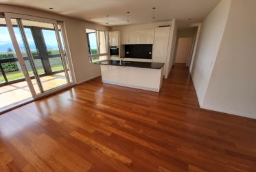 SPLENDIDE APPARTEMENT EN REZ DE JARDIN AVEC VUE LAC ET MONTAGNES A LUTRY