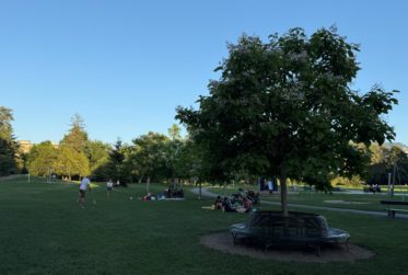 GRAND STUDIO EN ATTIQUE AU CENTRE DE FLORISSANT