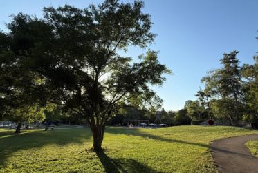 GRAND STUDIO EN ATTIQUE AU CENTRE DE FLORISSANT